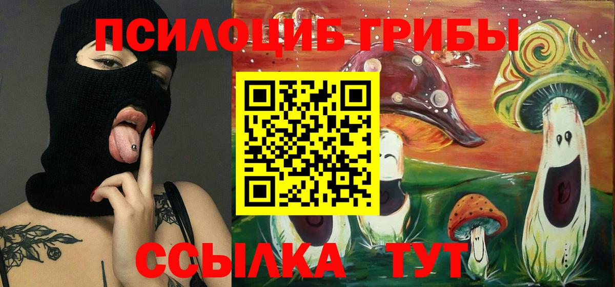 Псилоцибиновые грибы прущие грибы  Вход с VPN  Лангепас 