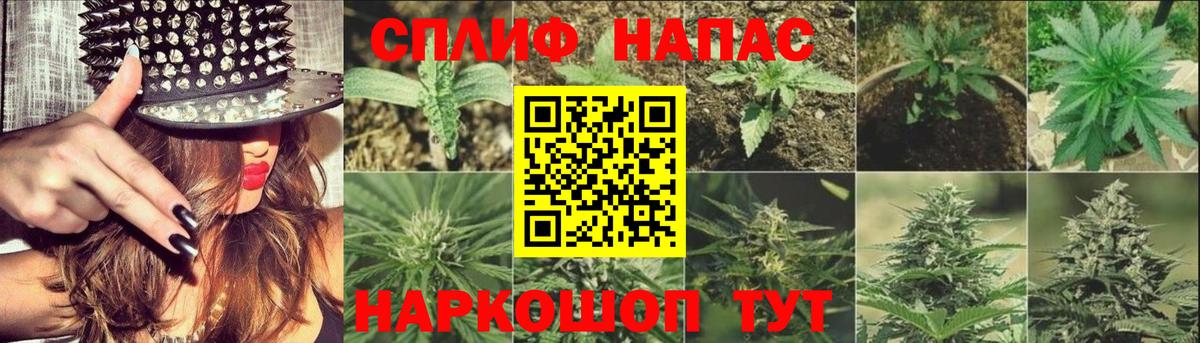 Канабис план Лангепас